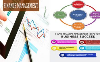 The Importance of Financial Management in Small Business