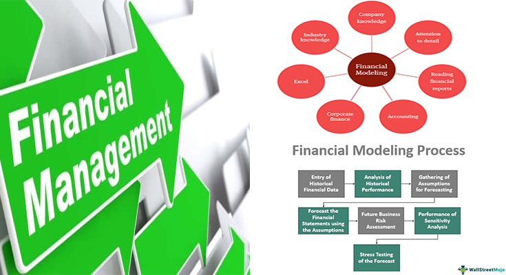 The Most Common Uses of Financial Management Models